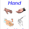 In Which Hand Are You?